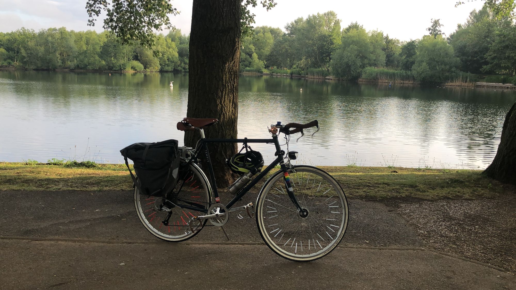 A bicycle on its kickstand in front of a tree, in front of a lake, on a clear morning.