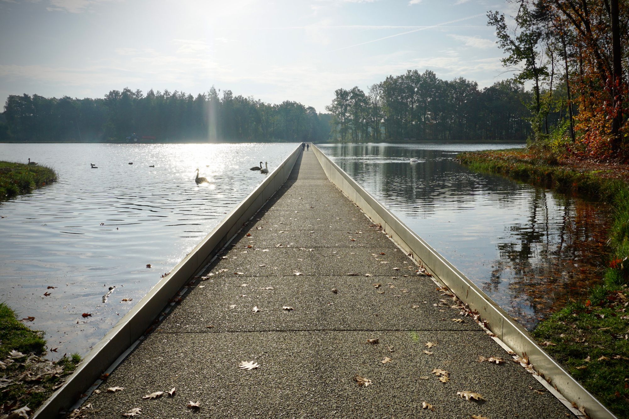 A wide asphalt cycle track cutting into a pond.