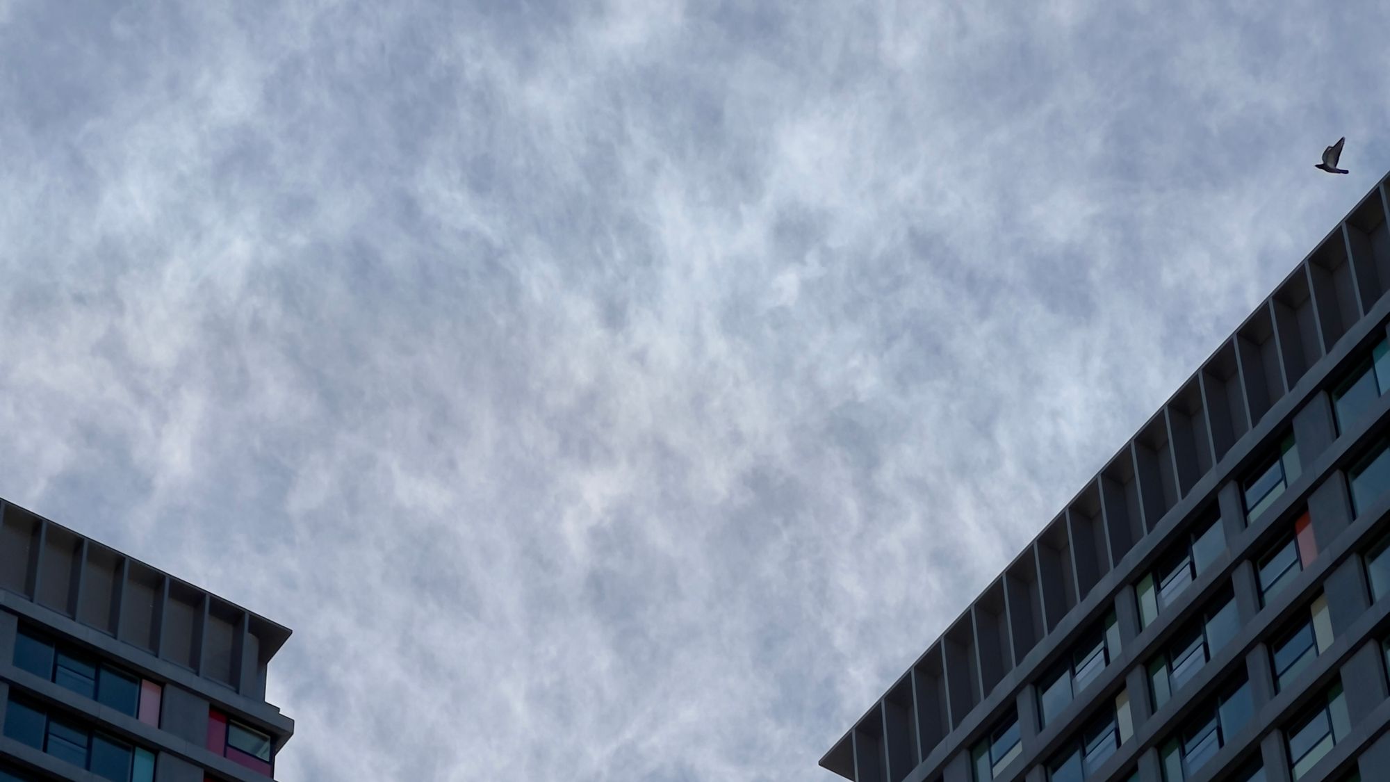 The tops of two adjacent tall residential buildings with some thin, wispy clouds in the sky. A bird flies from the right above the tower blocks.