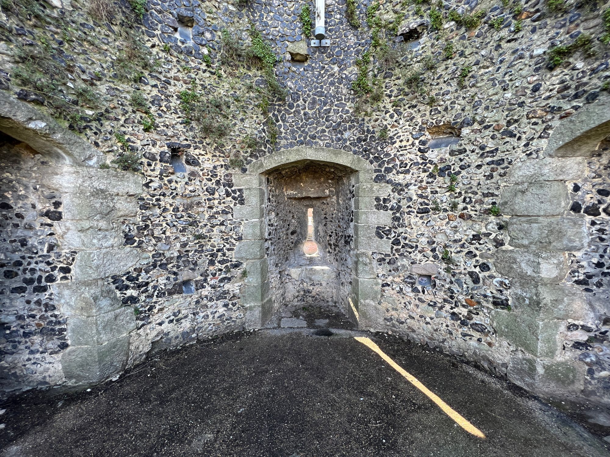 A curved, ancient stone wall from inside with vegetation growing on it. A shaft of light shines from outside through a sconce.