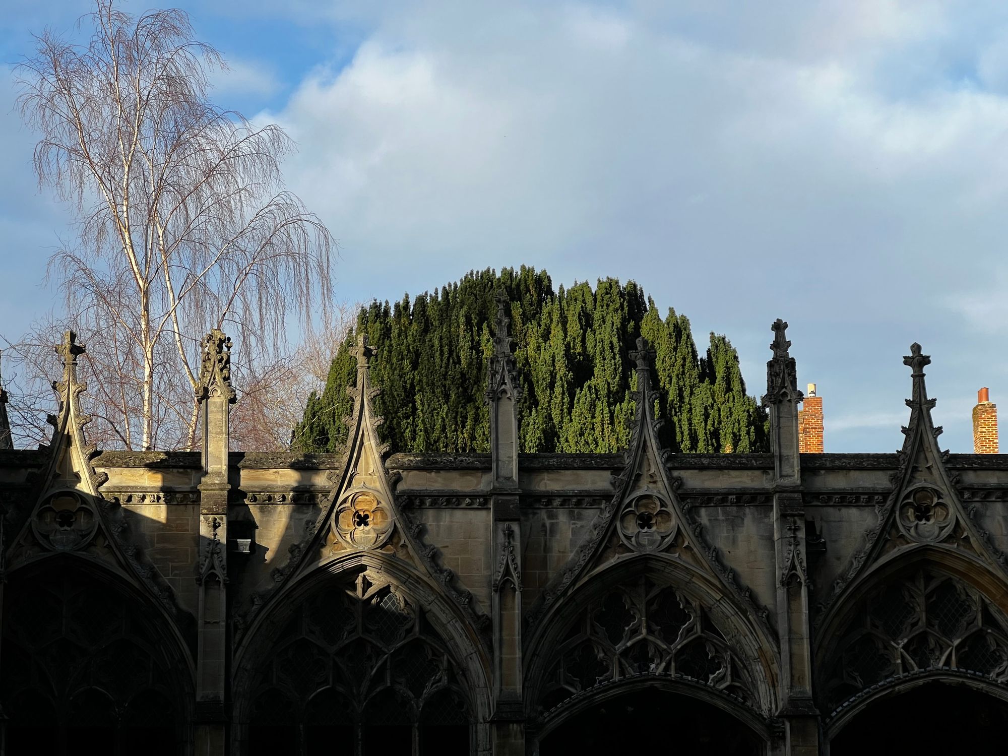 A tree rises above the top of a colonnade with elaborate stone arches. It is lit with a warm sunset light.