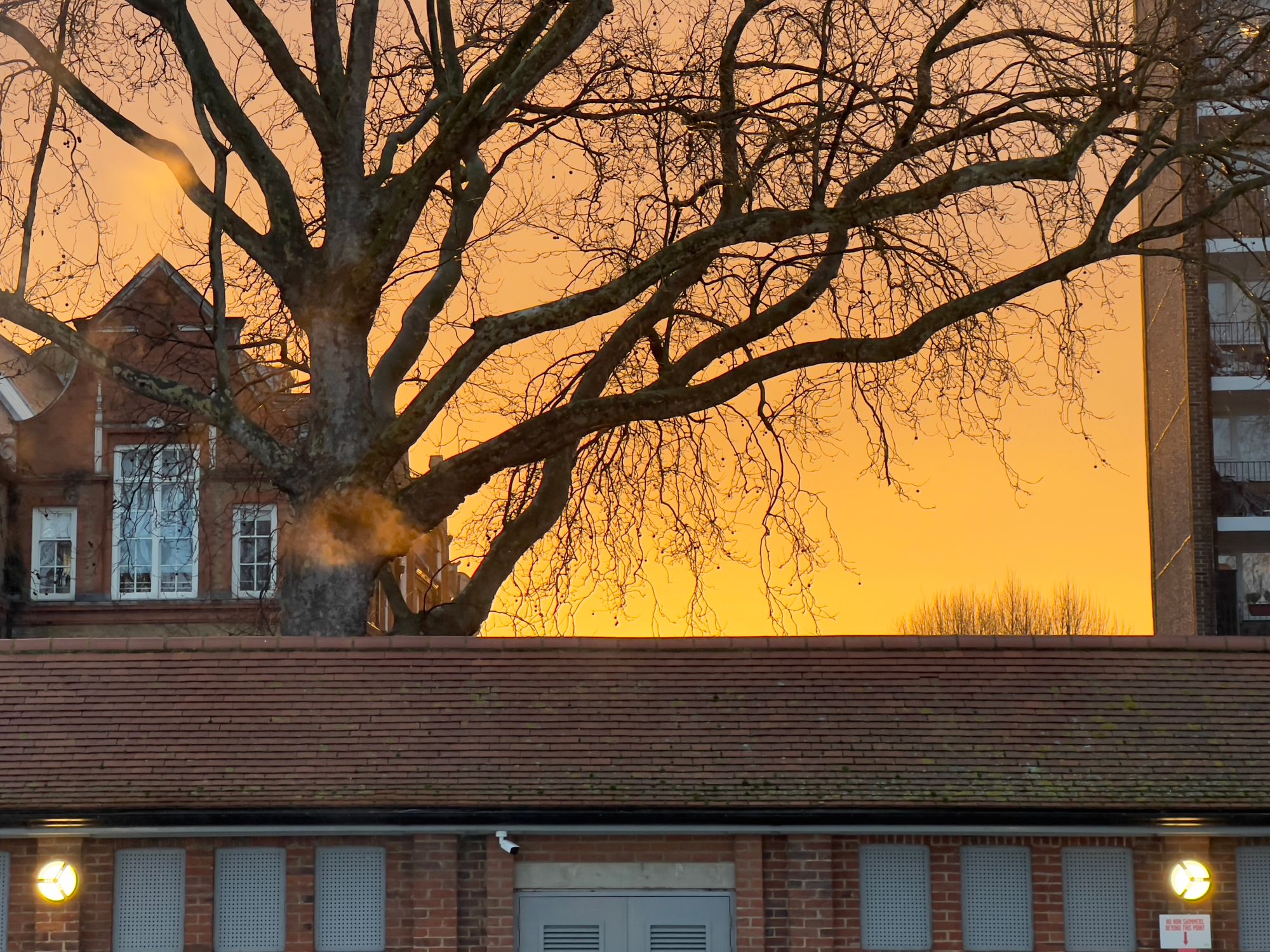 An orange sunset over a building with trees in silhouette, with steam rising from a vent.