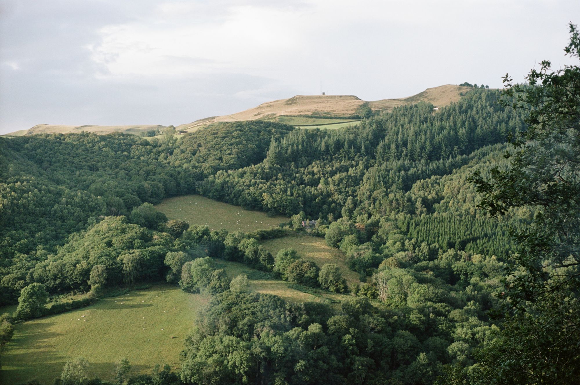 View out over a valley bathed in golden light. There are trees and fields, and a tower on the summit of a hill.