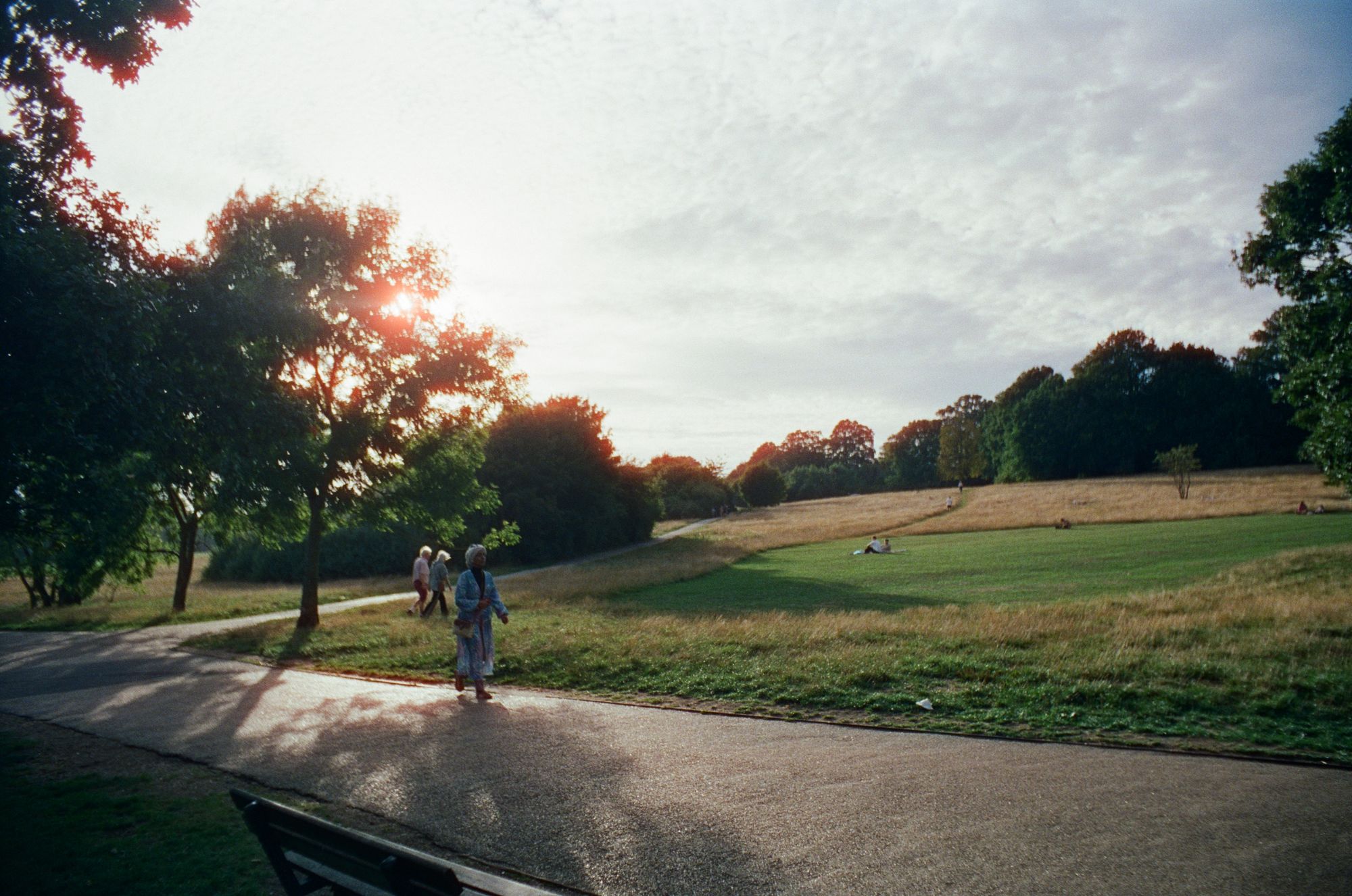 Golden hour view over rolling fields and tree-lined paths in Hampstead Heath. People walk to and fro on the paths and across the fields.