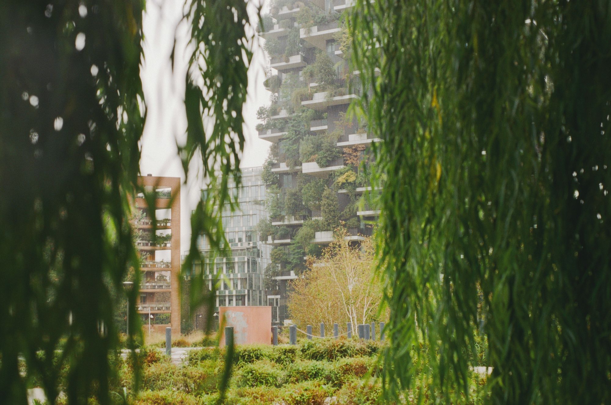 Seen on a rainy day through some weeping tree branches, a block of flats with off-set balconies festooned with trees.