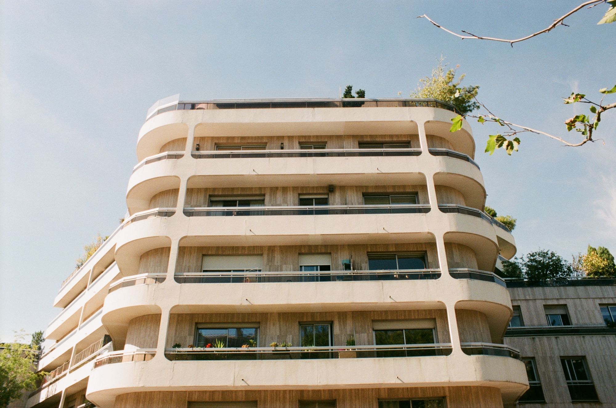 Concrete building with rounded edges with balconies on each of its 5 upper levels. Two trees peep out from the top. There's a tree in the foreground too.