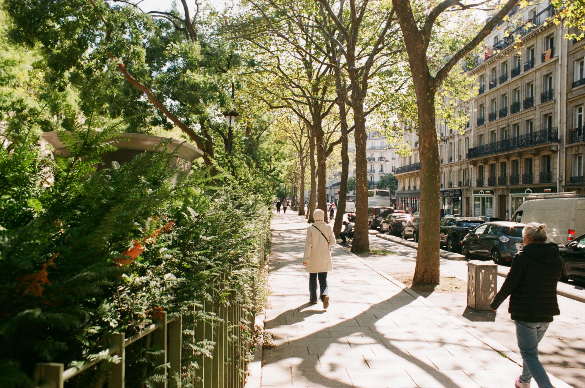 Two women walk away from camera on a footpath between trees and a park, with a road off to the right.