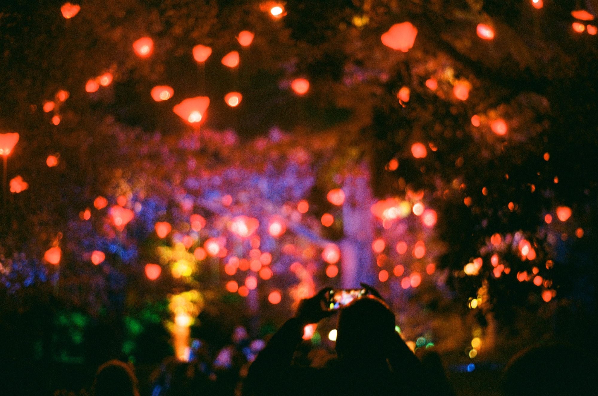 At night under a tree canopy: dozens of little red lights in soft focus hang from the trees, swirling slightly, producing a cacophony of red light apparently suspended in space. In the foreground, a silhouetted figure takes a photo on their phone.