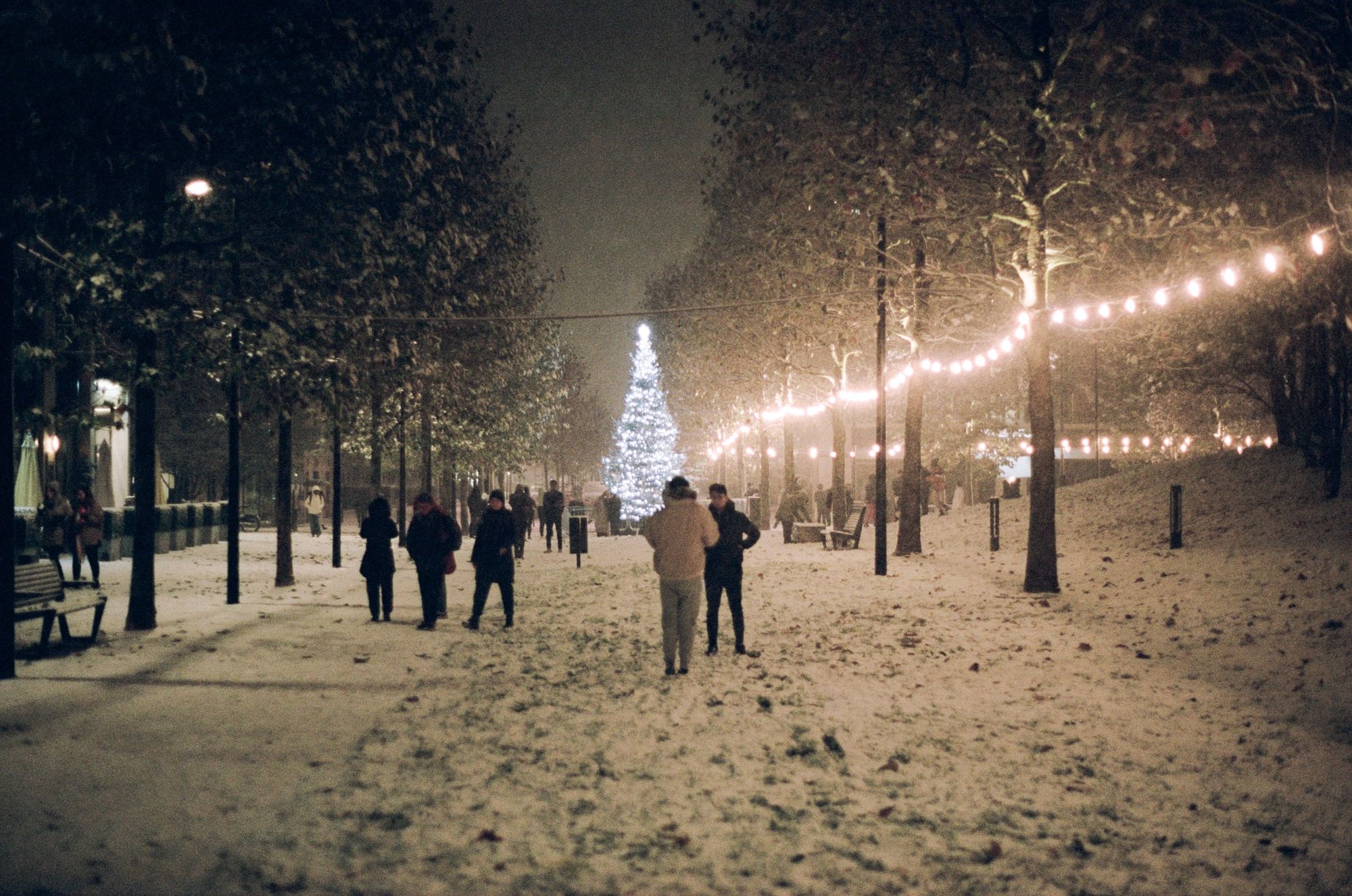 On a dark evening, a snowy pedestrian area with trees and people milling about. A Christmas tree is lit up.