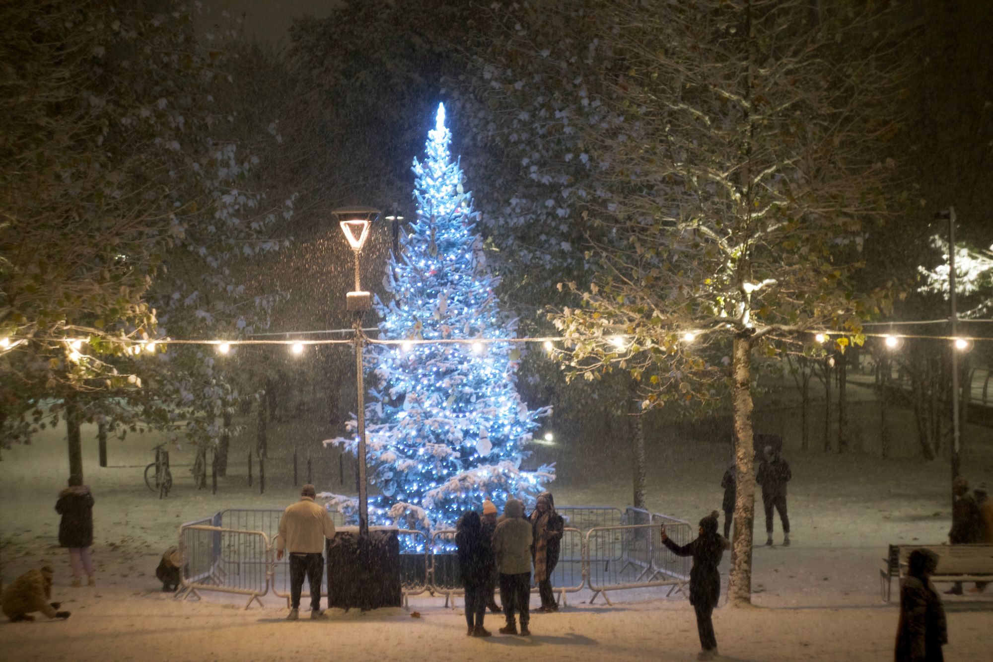 People in a pedestrian area gathered around a large Christmas tree lit in blue. Some people are talking photographs through protective barriers.