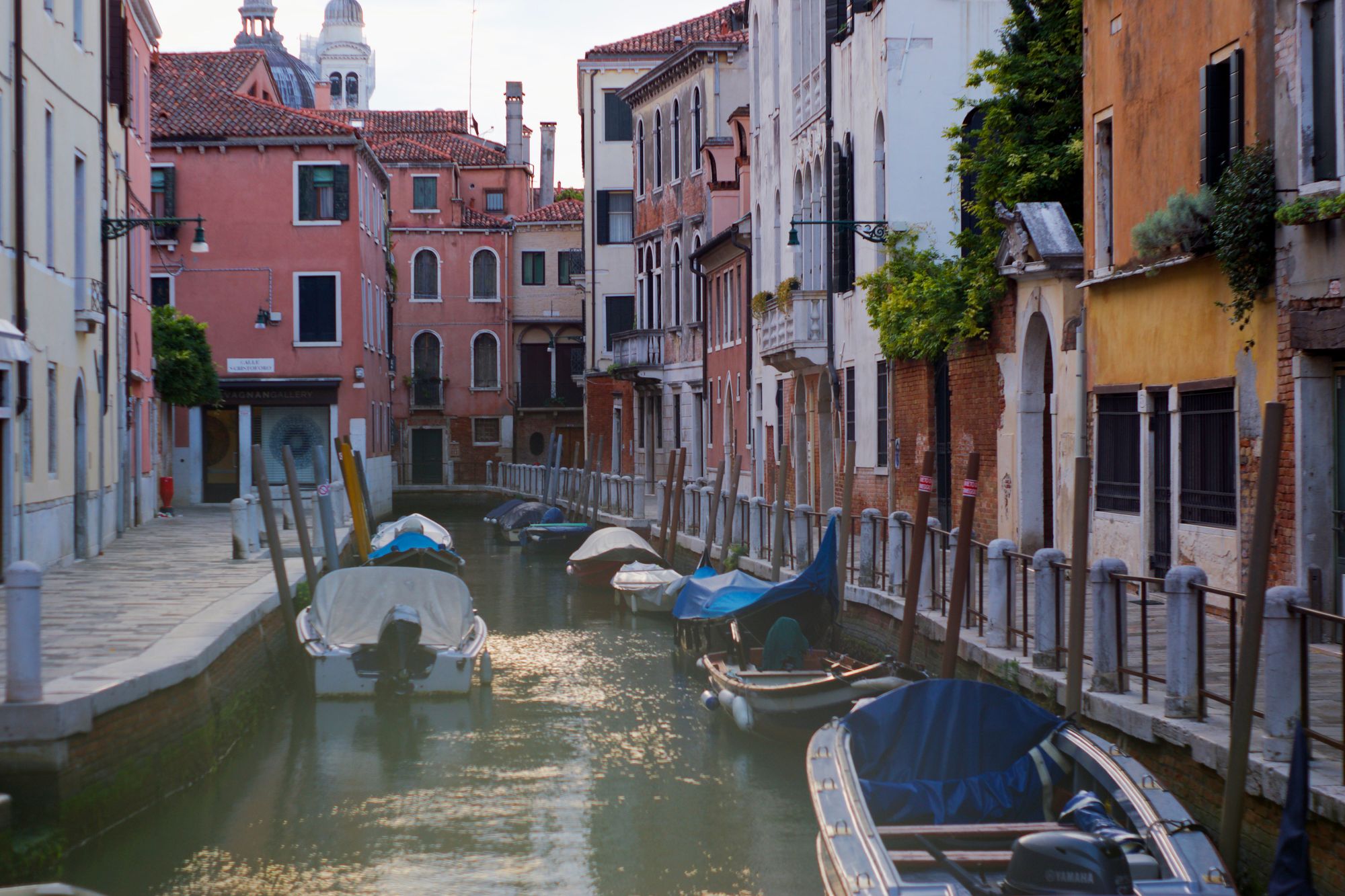 From a bridge, through some heavily defocused vegetation, a narrow canal with boats moored on either side and vegetation growing from some of the buildings on either side. It's dawn light and the place is deserted.