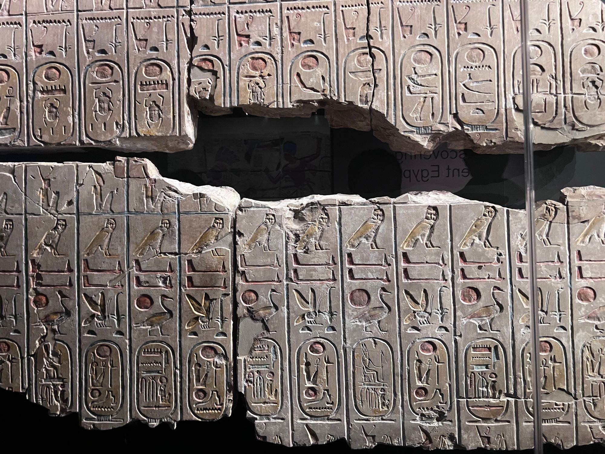 A partially complete wall of Egyptian heiroglyphics displayed behind glass, with colour still visible on the figures. It is a row of cartouches representing the names of various Pharaohs throughout the lifetime of a dynasty.