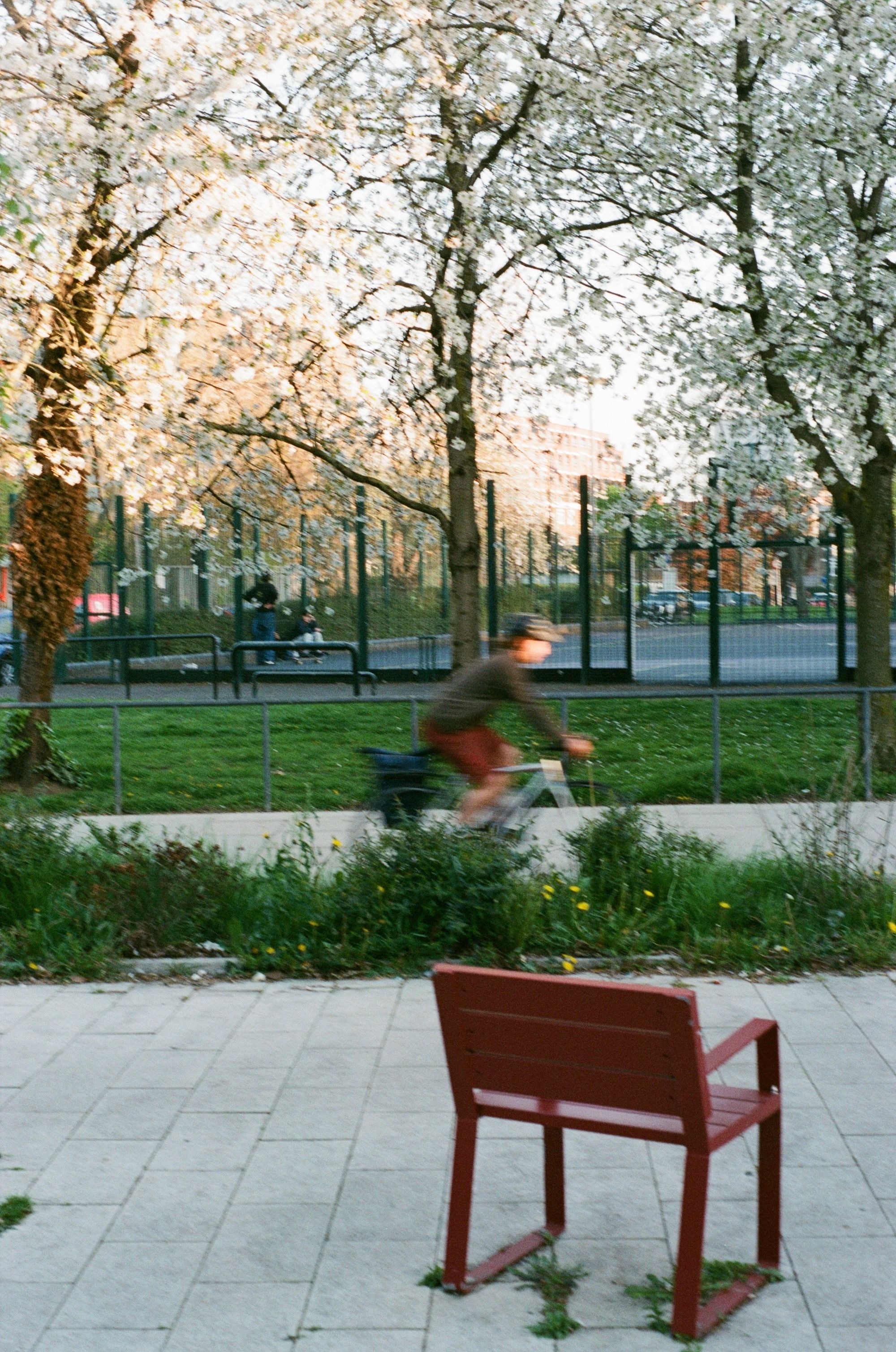 A red metal chair on a pedestrianised area looking out onto tended grass verges, a cycle track with a rider wearing red shorts going left to right, and a playground with some large, gnarly trees in blossom in the foreground.
