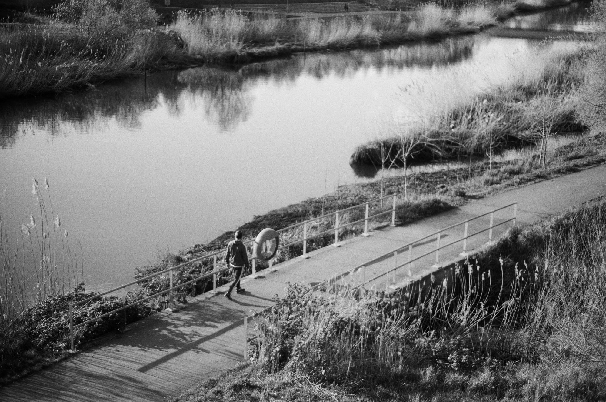 In black and white, a path alongside a river with teasels and dormant reeds. A person walks over a small bridge with railings as parapets and a life ring. The sun casts their shadow and that of the railings in sharp contrast.