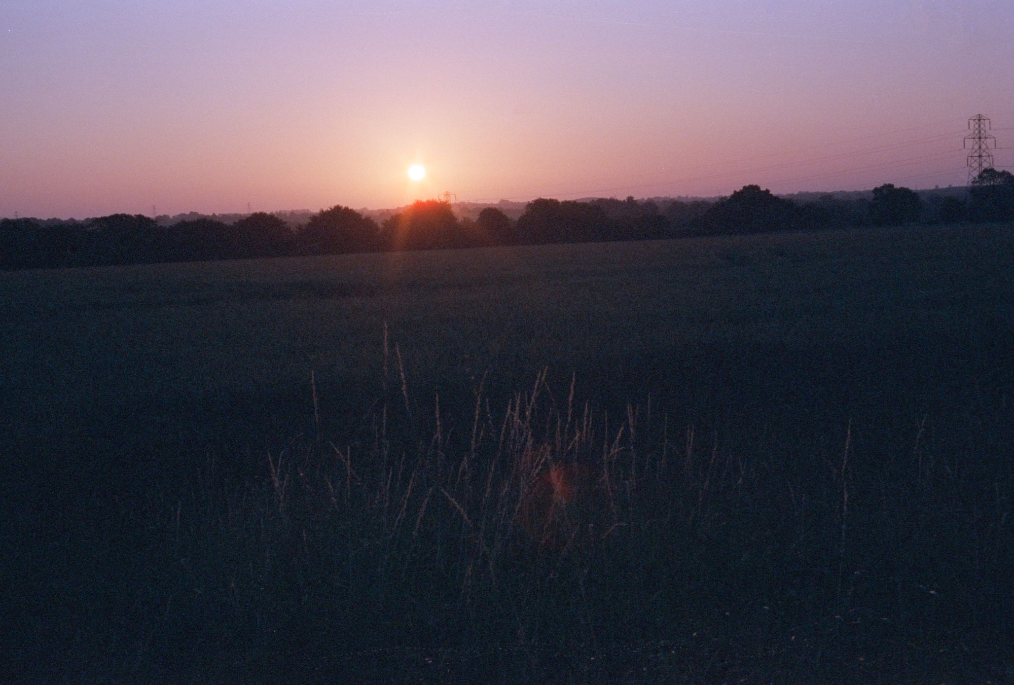 A pink-and-purple sunrise over flat fields with electricity pylons in the distance.