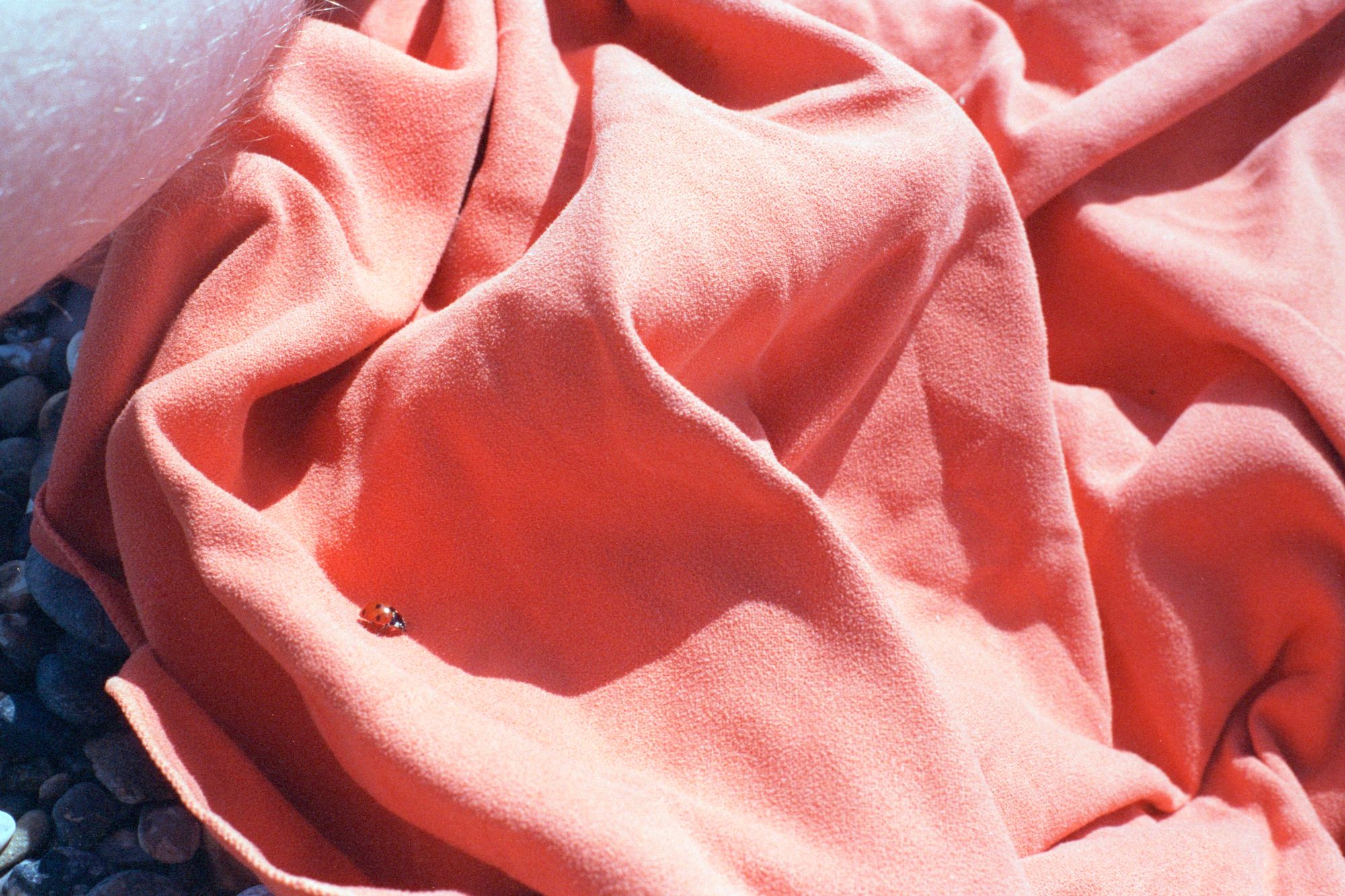 A ladybird on an orange towel messily laid on the beach, with the back of my leg in the top-left of the frame.