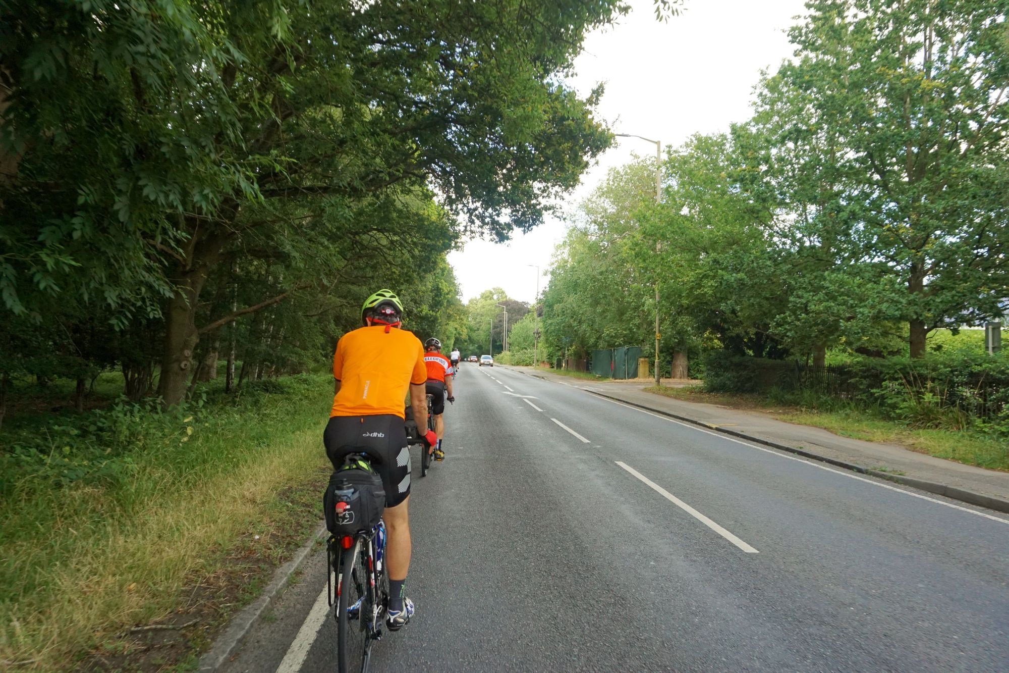 People cycling in jerseys and bib shorts away from camera on a road with trees on either side.