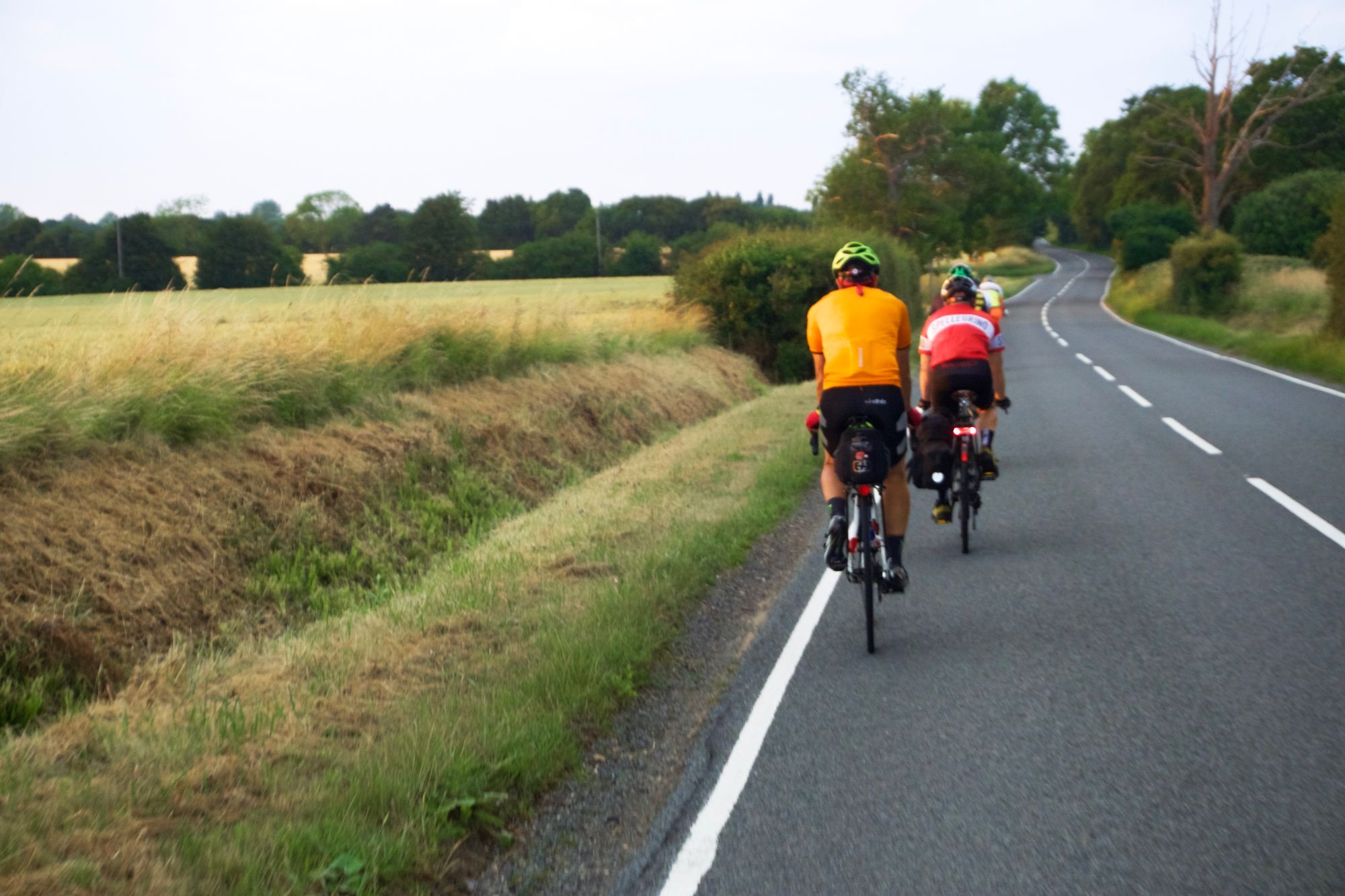 A group of people cycling away from camera along a gently winding country road.