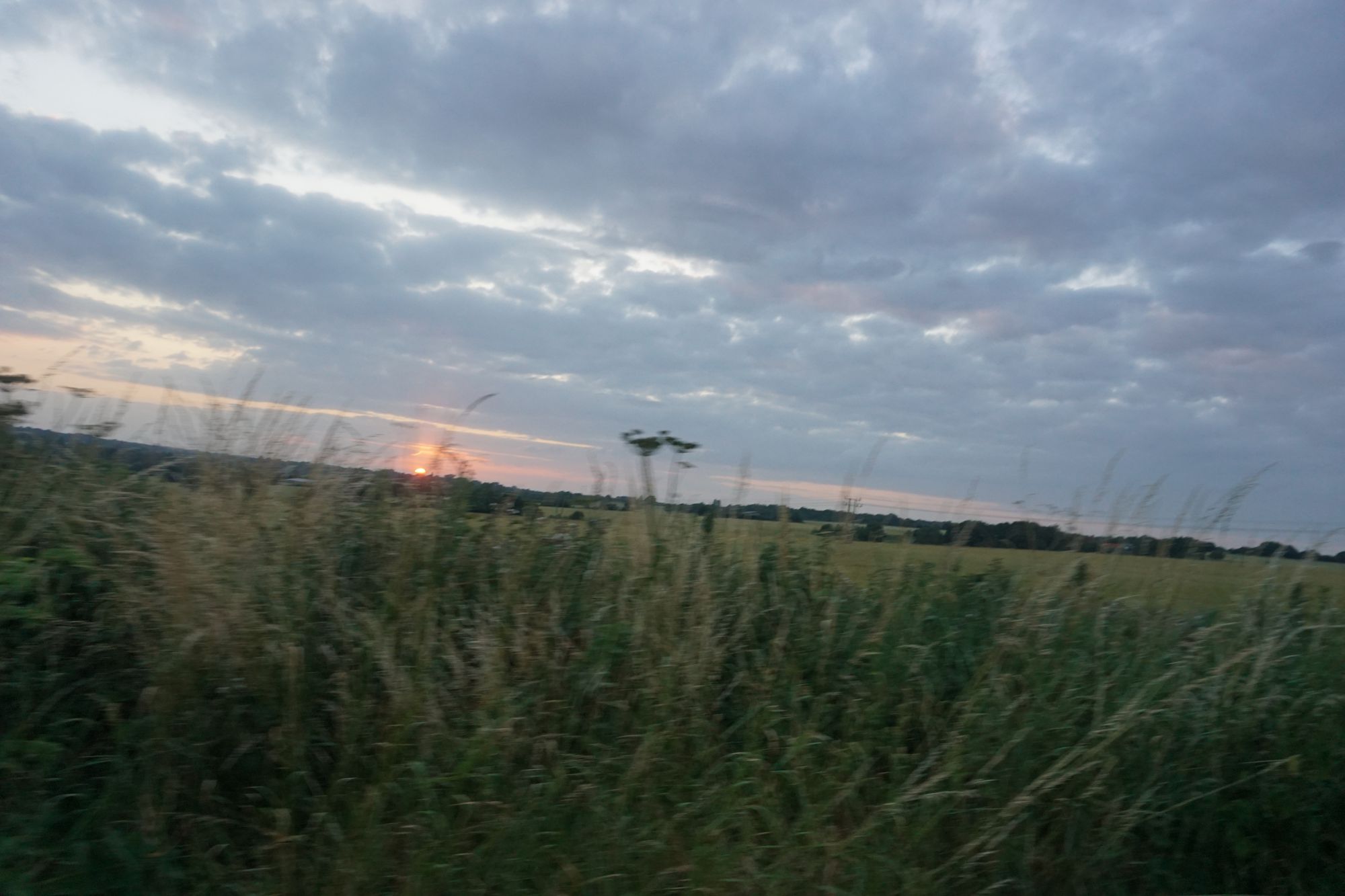 Seen across a field, the sun sets dimly, an orange circle set amongst a sky laden with grey clouds.
