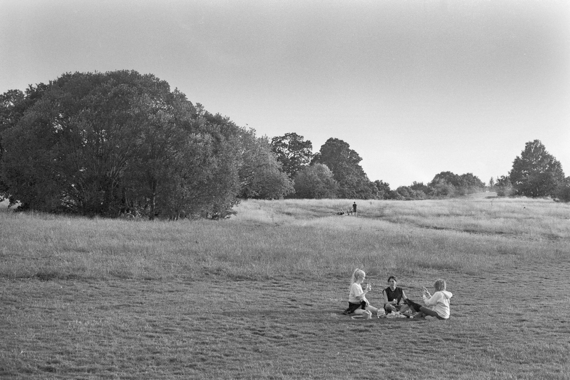 A verdant and slightly moist hill with short cropped grass rising into heathland further up and trees on the peaks. Two groups of people have picnics in filtered sunlight.