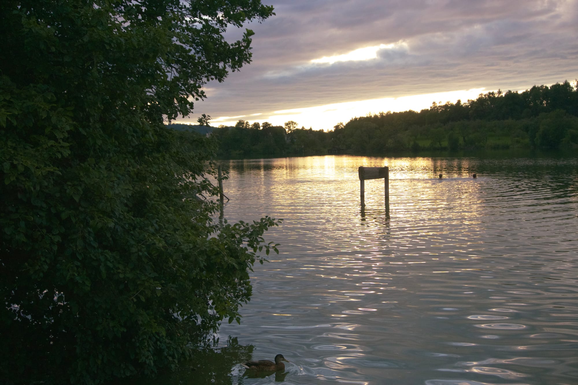 At sunset with rolling clouds above, a large pond or small lake surrounded by trees. Two heads of swimmers are visible in the distance. A duck is in the foreground.