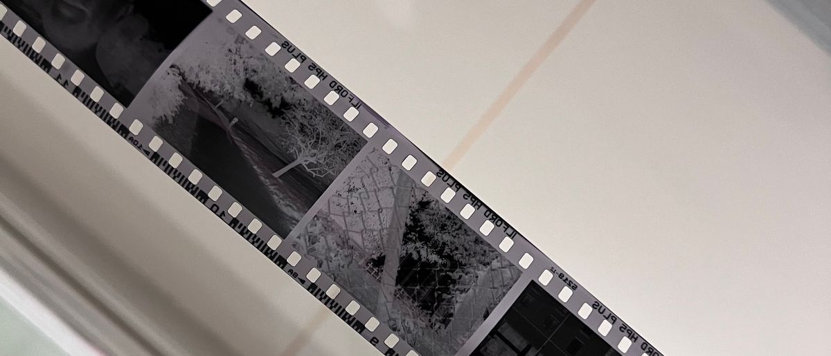 Weeknotes 2023.22: holy š© I developed my own film