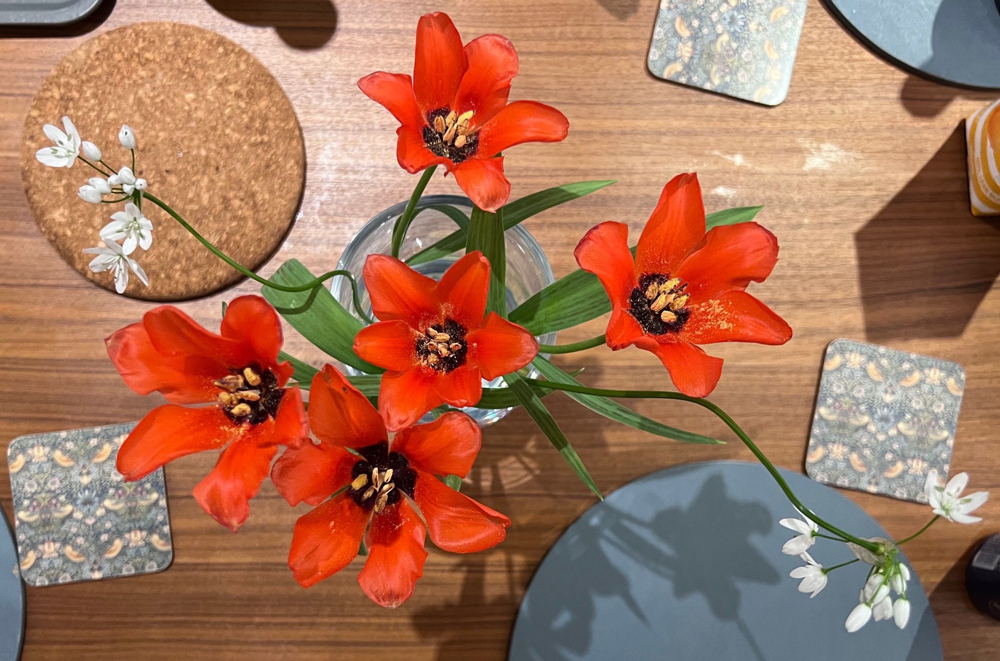From above, red tulips and white albums in a vase on a dinner table, with coasters scattered around it.