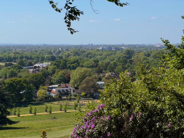 A view to the west from Richmond Park of trees, grass, buildings. An air traffic control tower is on the horizon.