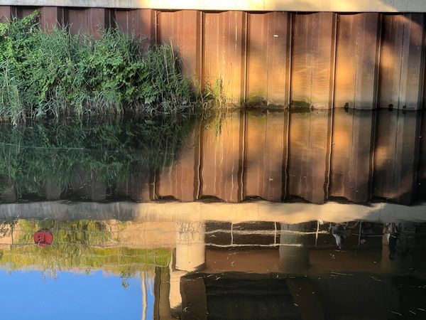 A corrugated wall, with vegetation, reflected into a river.