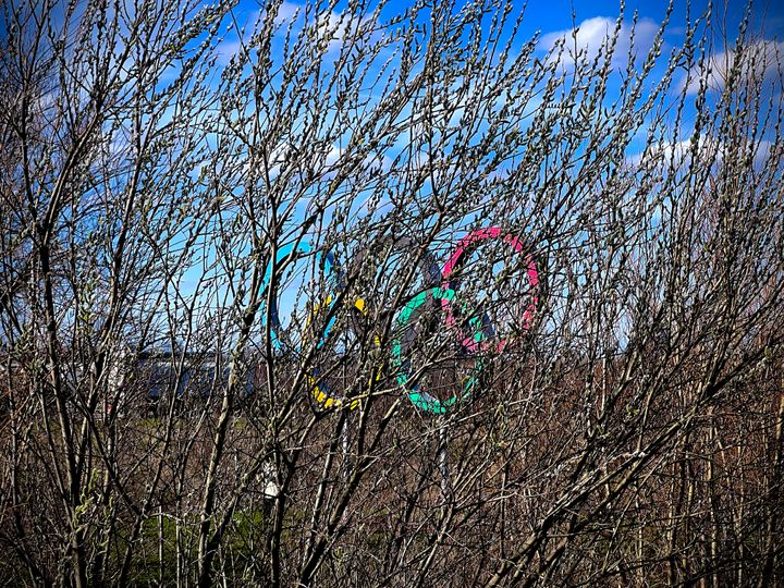 The Olympic Rings standing in the distance behind some barren tree branches.