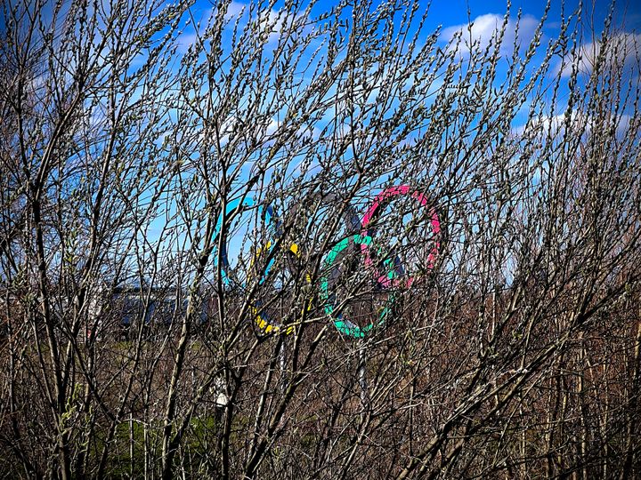 The Olympic Rings standing in the distance behind some barren tree branches.
