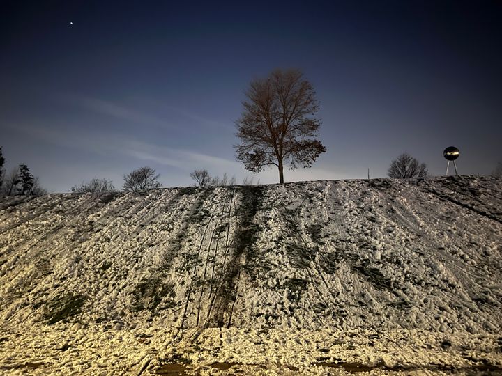 At night, a tree on a grassy mound. The mound is snowy and there are footsteps and board tracks in the snow.