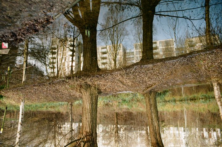 An upside down view of blocks of flats reflected into a pond amongst trees