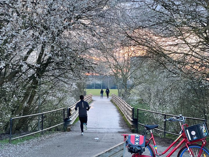 A short footbridge leading into a sunset with trees in white blossom, a red bike on its stand and runners/walkers.