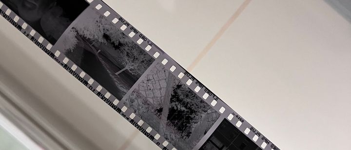 Black and white negatives hanging in a bathroom, showing a fence, a tree, and a face.