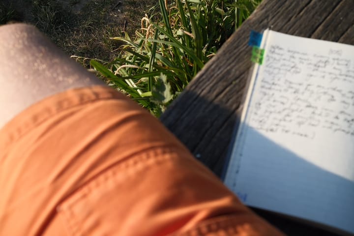 Greenery at the foot of a bench. In the foreground, my leg with an orange pair of shorts, and an out-of-focus notebook with coloured tabs.